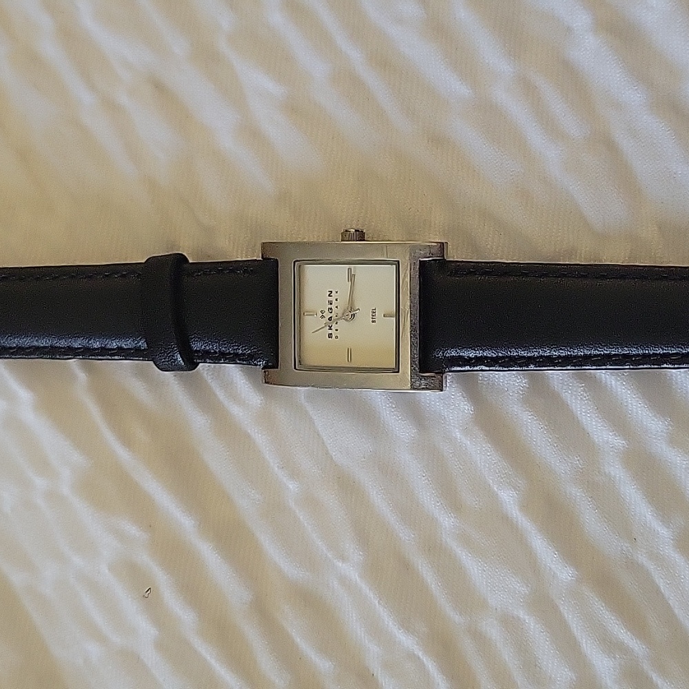 Skagen watch
